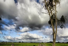 联赛硬碰领头羊利物浦 热刺防线实力受损难保主场.