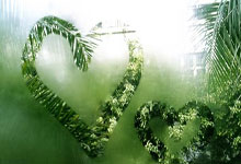 将战里昂,曼联欧战历史32次对阵法国球队仅有4次失利.