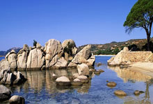 NG体育：全国残特奥会高山滑雪比赛在乌鲁木齐举行.